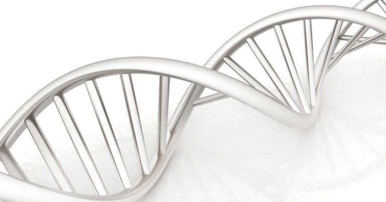 Free skp models for SketchUp: The Smart Way to Speed Up 3D Design Projects