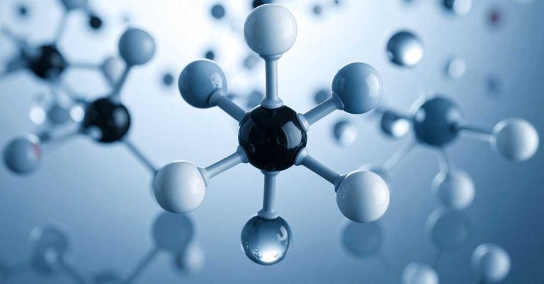 Mastering O Level Biology: The Ultimate Guide to Tuition and Exam Success